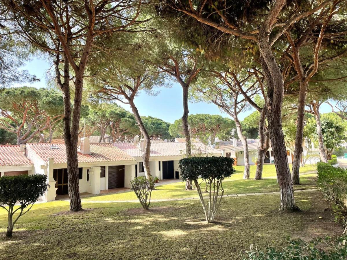 Falesia Beach House Αλμπουφέιρα Εξωτερικό φωτογραφία